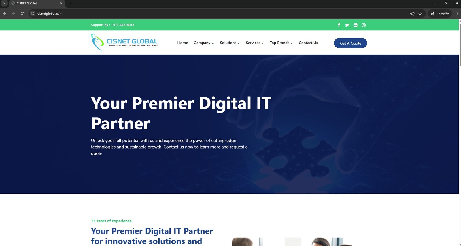 it solution expert